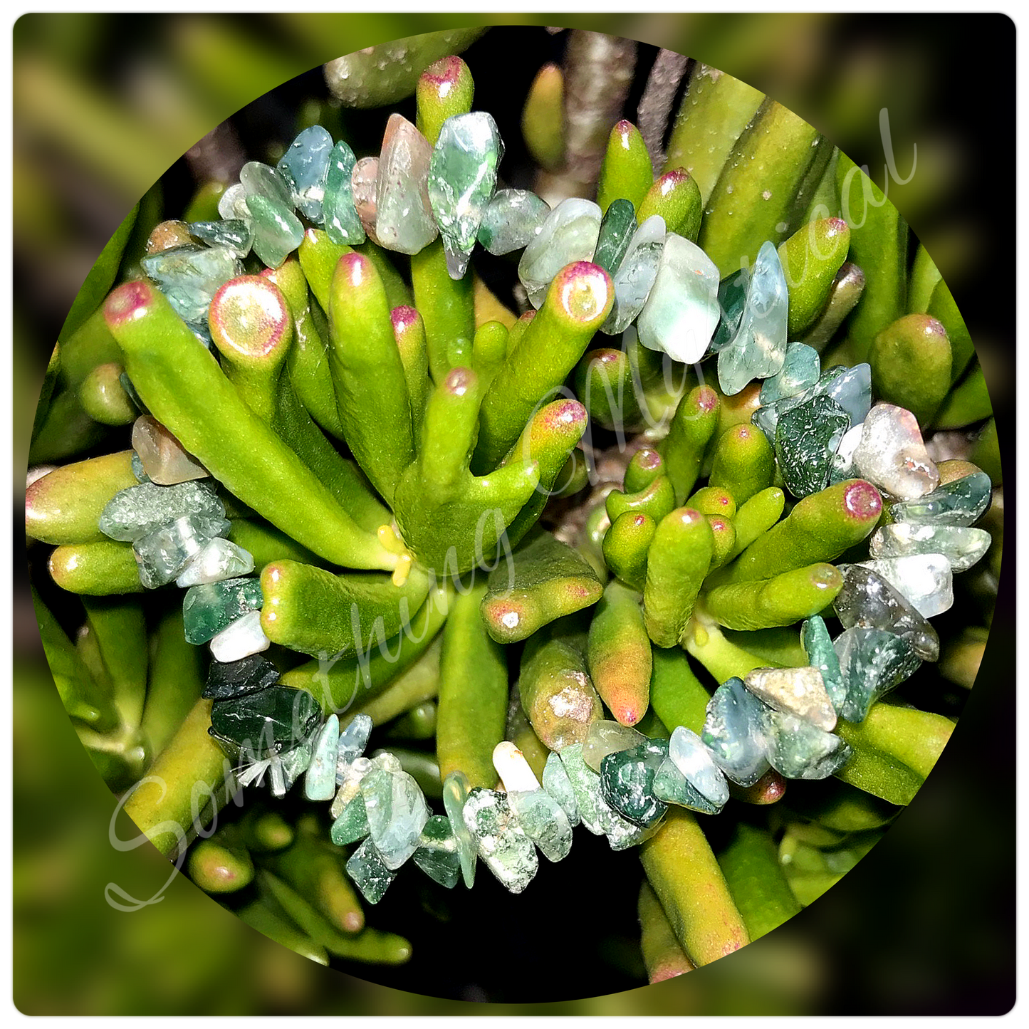 Bracelet - Crystal Chip ($5.95 - $9.95)