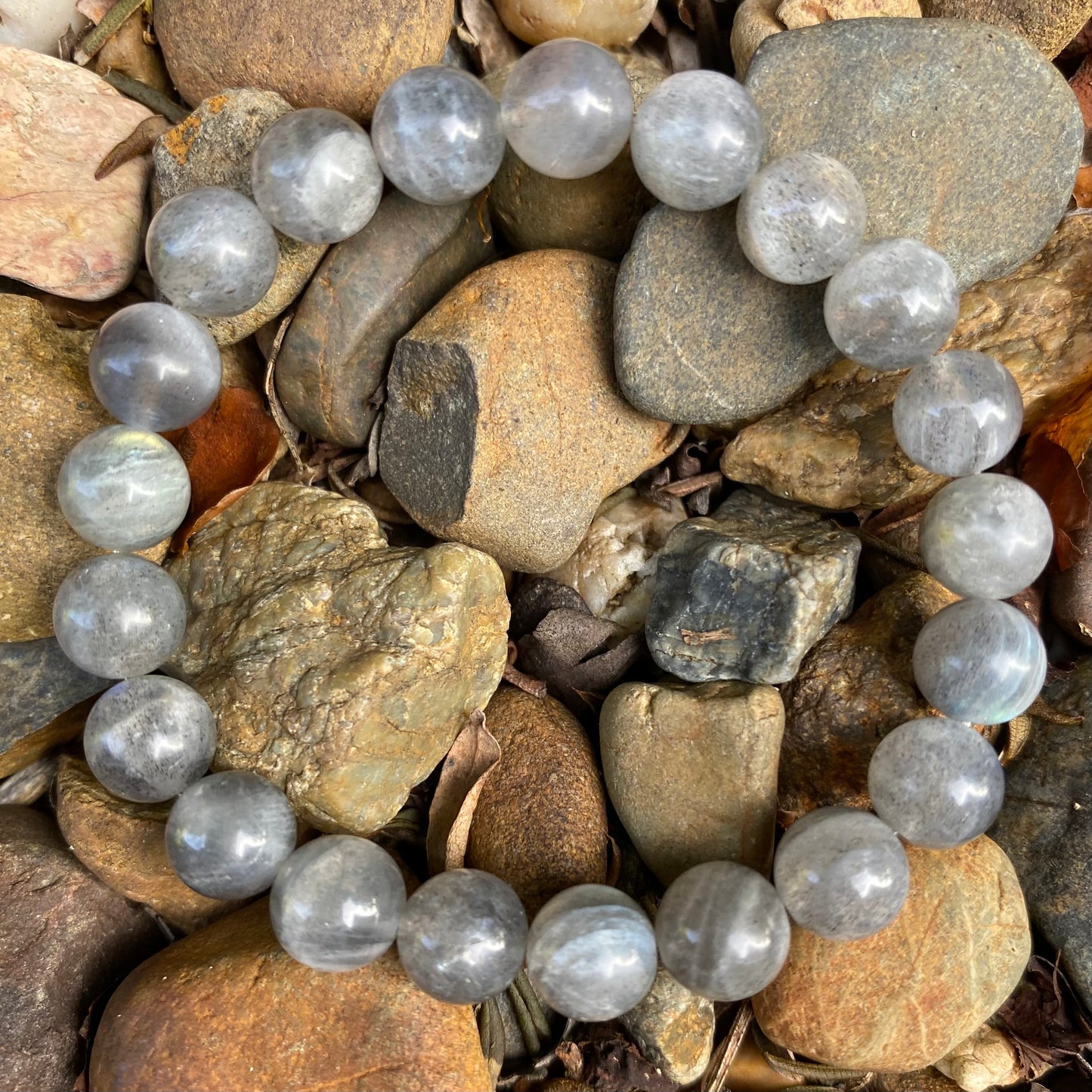 Bracelet - Labradorite - 8mm round stome